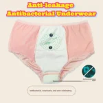 Top Leak-Proof Period Underwear for Ultimate Comfort and Reliable Protection Top Leak-Proof Period Underwear for Ultimate Comfort and Reliable Protection
